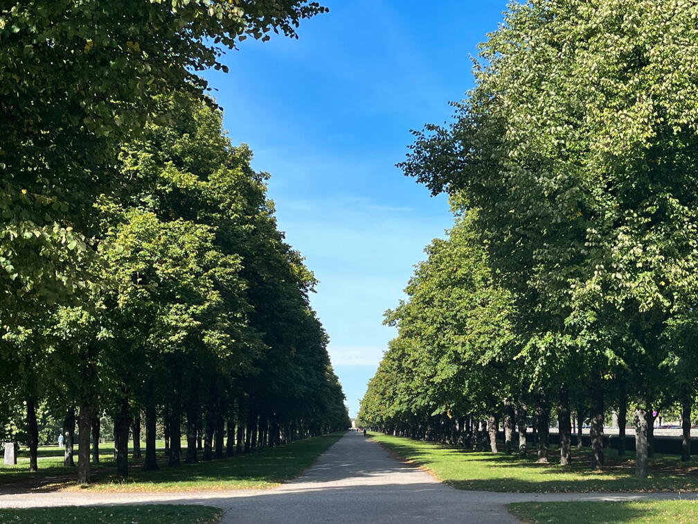 23-09-25 12-21-38 7423